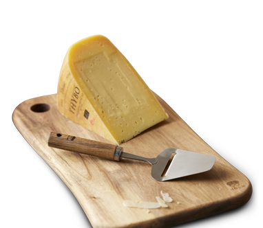 Couteau tranche-fromage - Couteau de cuisine : Buffet Plus
